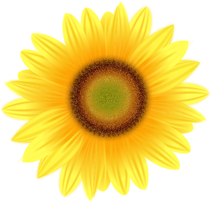 sunflower bokay