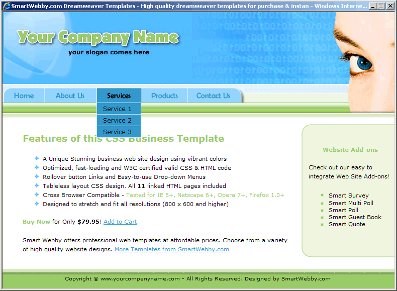 Dreamweaver CSS Template 111 [Business] - Actual Size Screenshot for 800px screen width