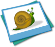 Spiral Effect Snail Graphic