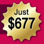 Basic Website Deluxe Package - Just $677