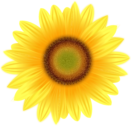 Free Free 58 Transparent Background Realistic Sunflower Svg SVG PNG EPS DXF File